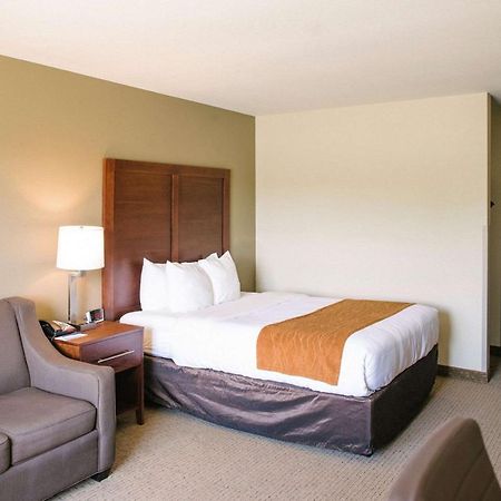 קאסטר Comfort Inn & Suites מראה חיצוני תמונה
