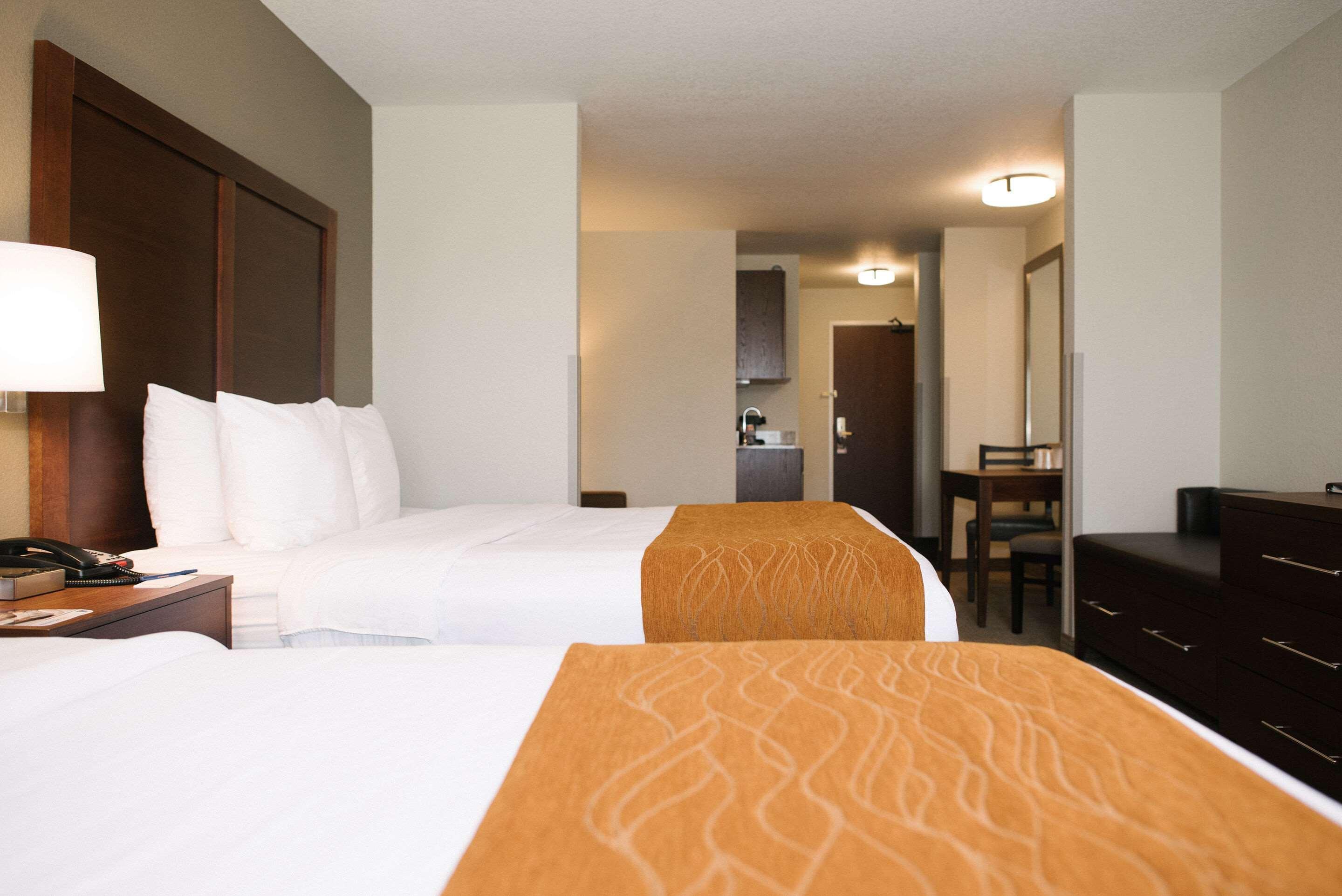 קאסטר Comfort Inn & Suites מראה חיצוני תמונה