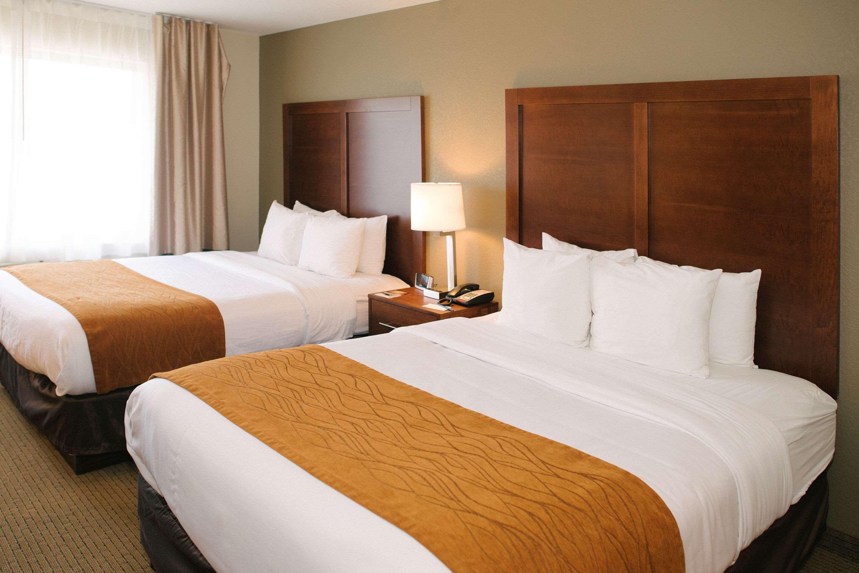 קאסטר Comfort Inn & Suites מראה חיצוני תמונה