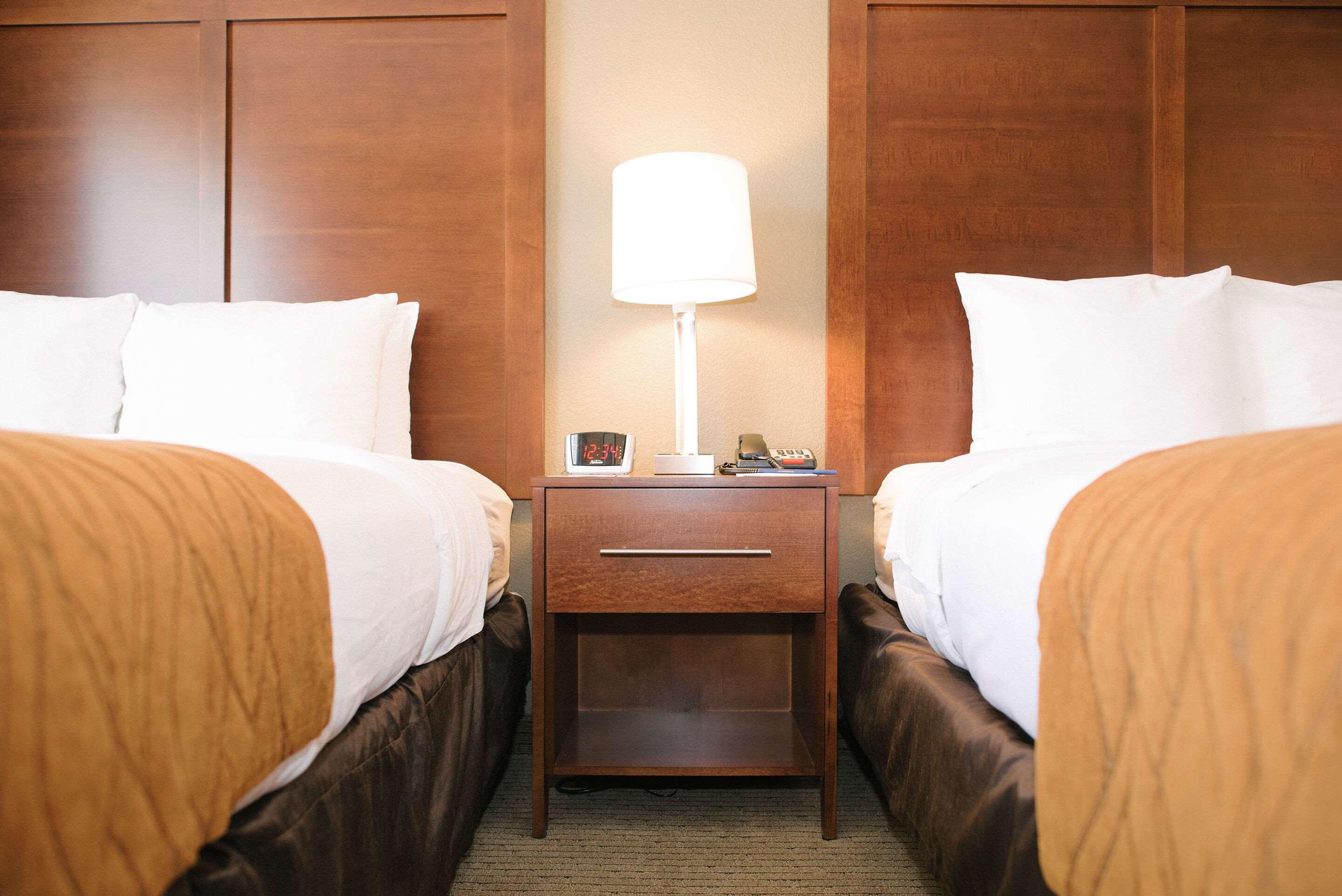 קאסטר Comfort Inn & Suites מראה חיצוני תמונה