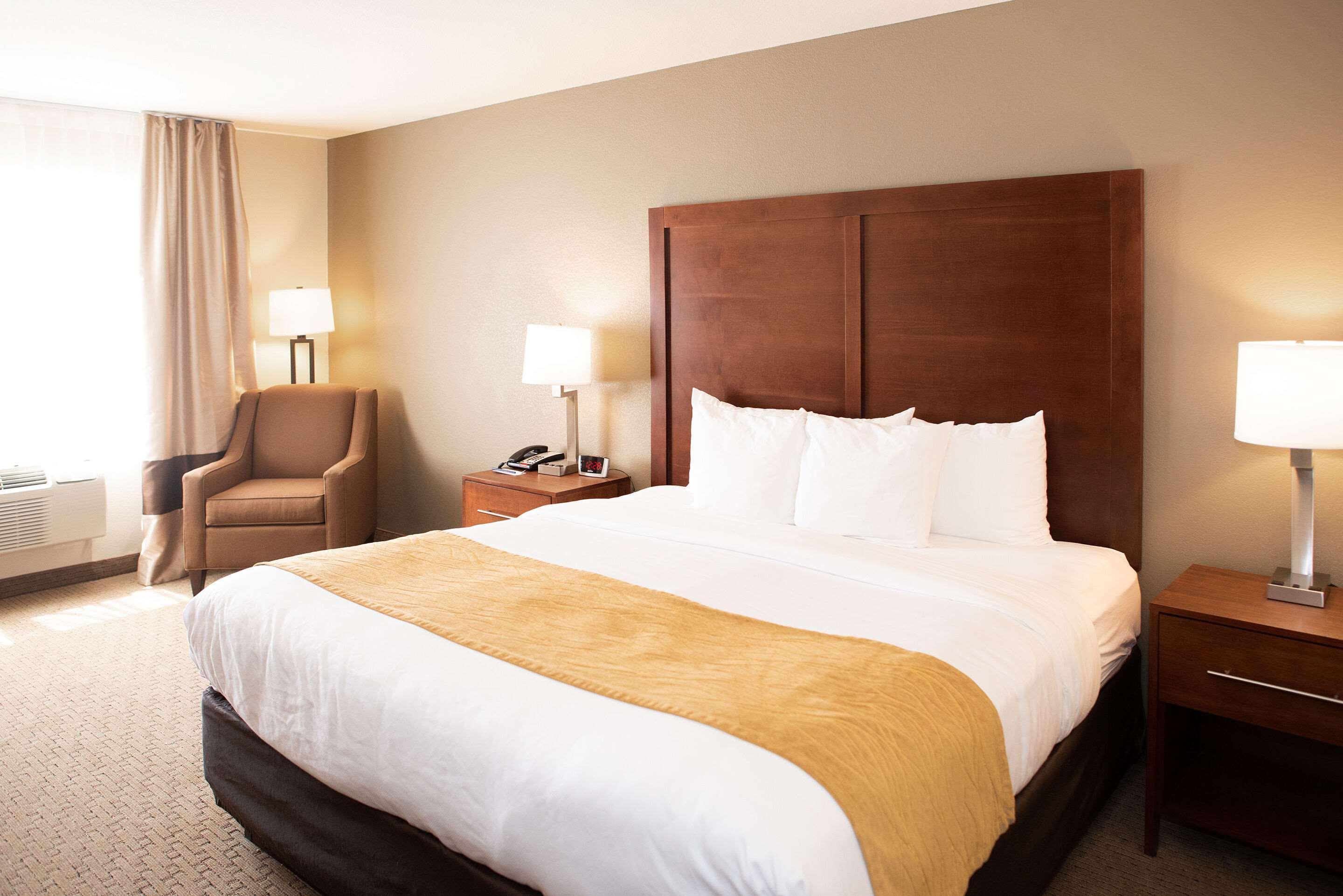 קאסטר Comfort Inn & Suites מראה חיצוני תמונה
