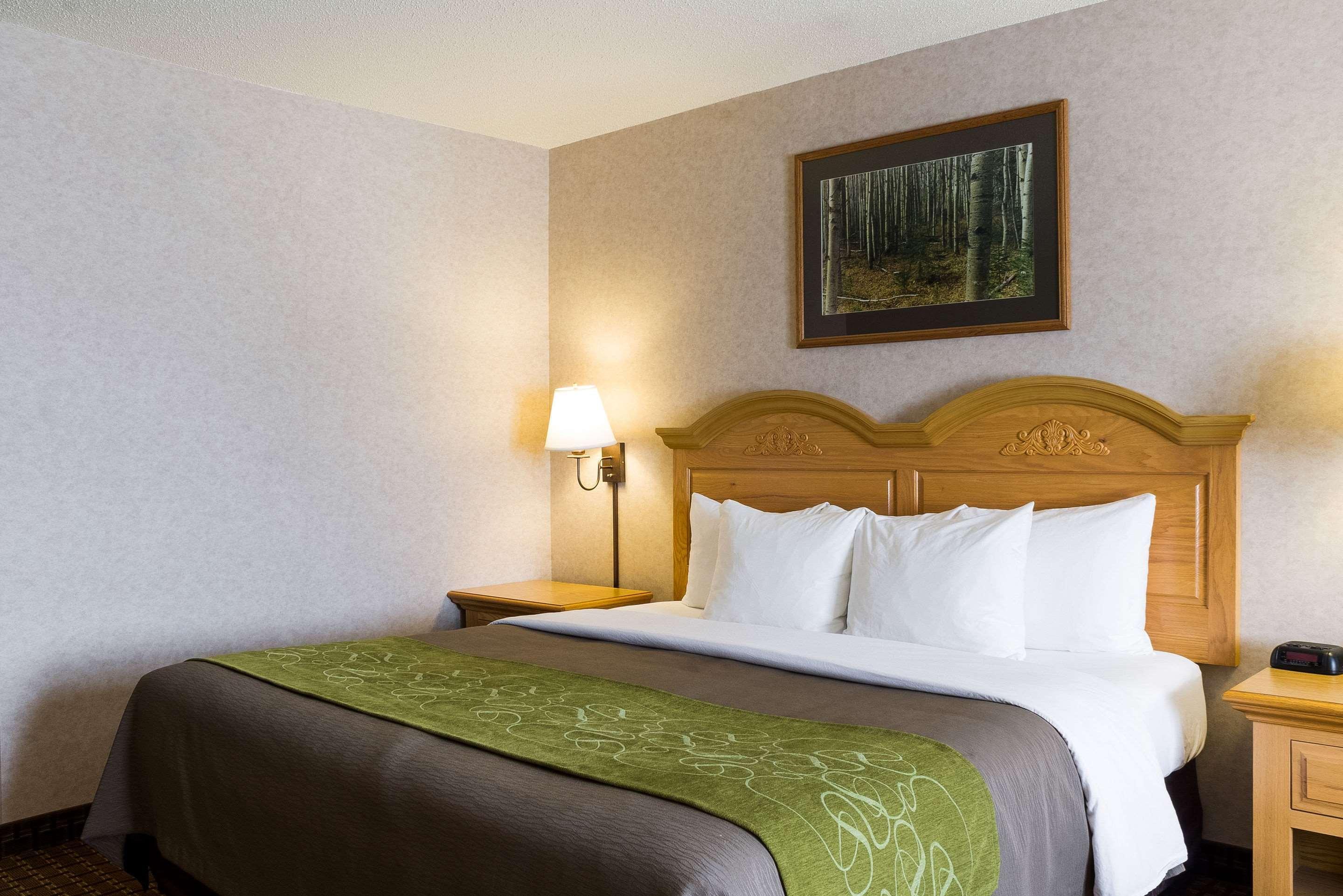 קאסטר Comfort Inn & Suites מראה חיצוני תמונה