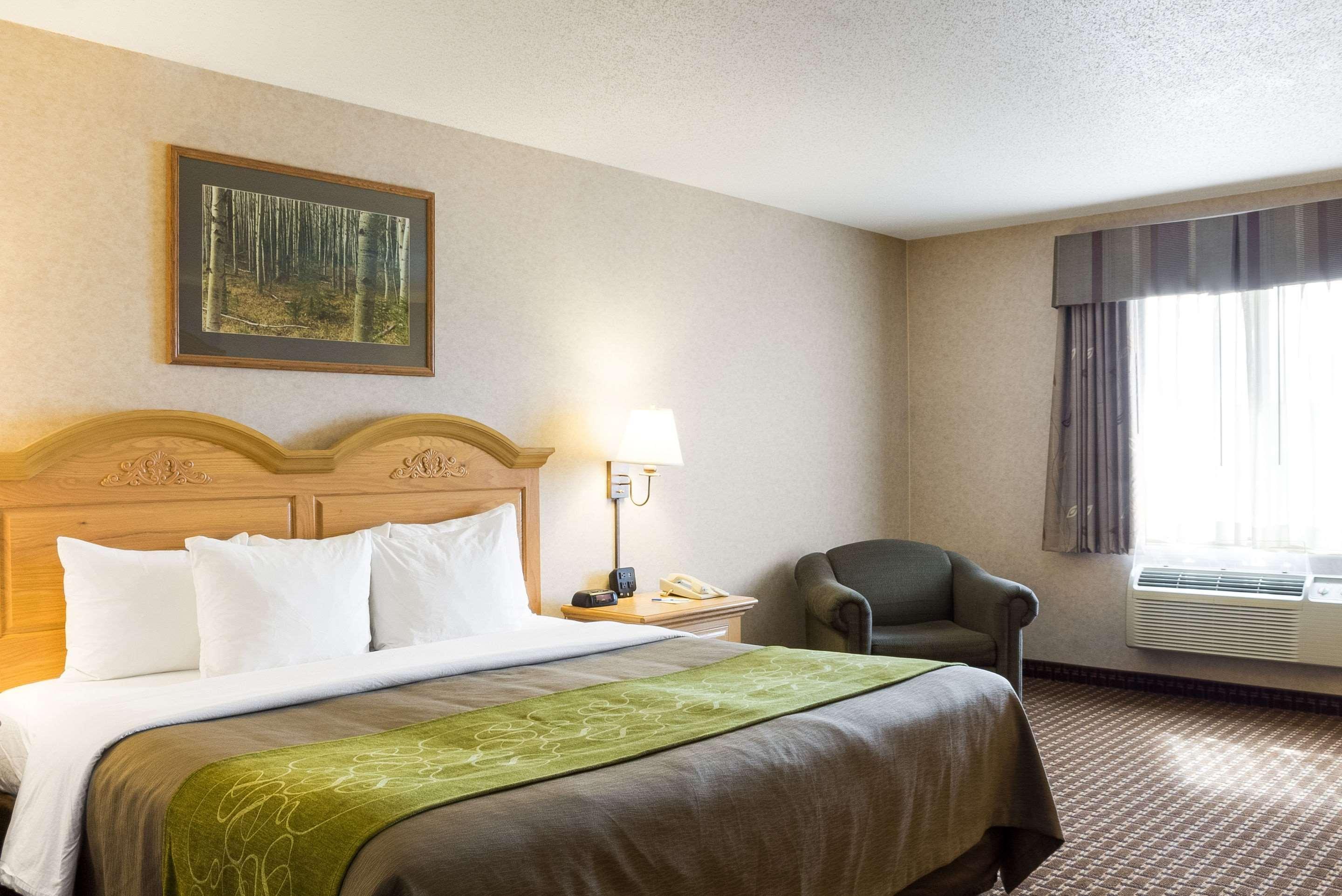 קאסטר Comfort Inn & Suites מראה חיצוני תמונה