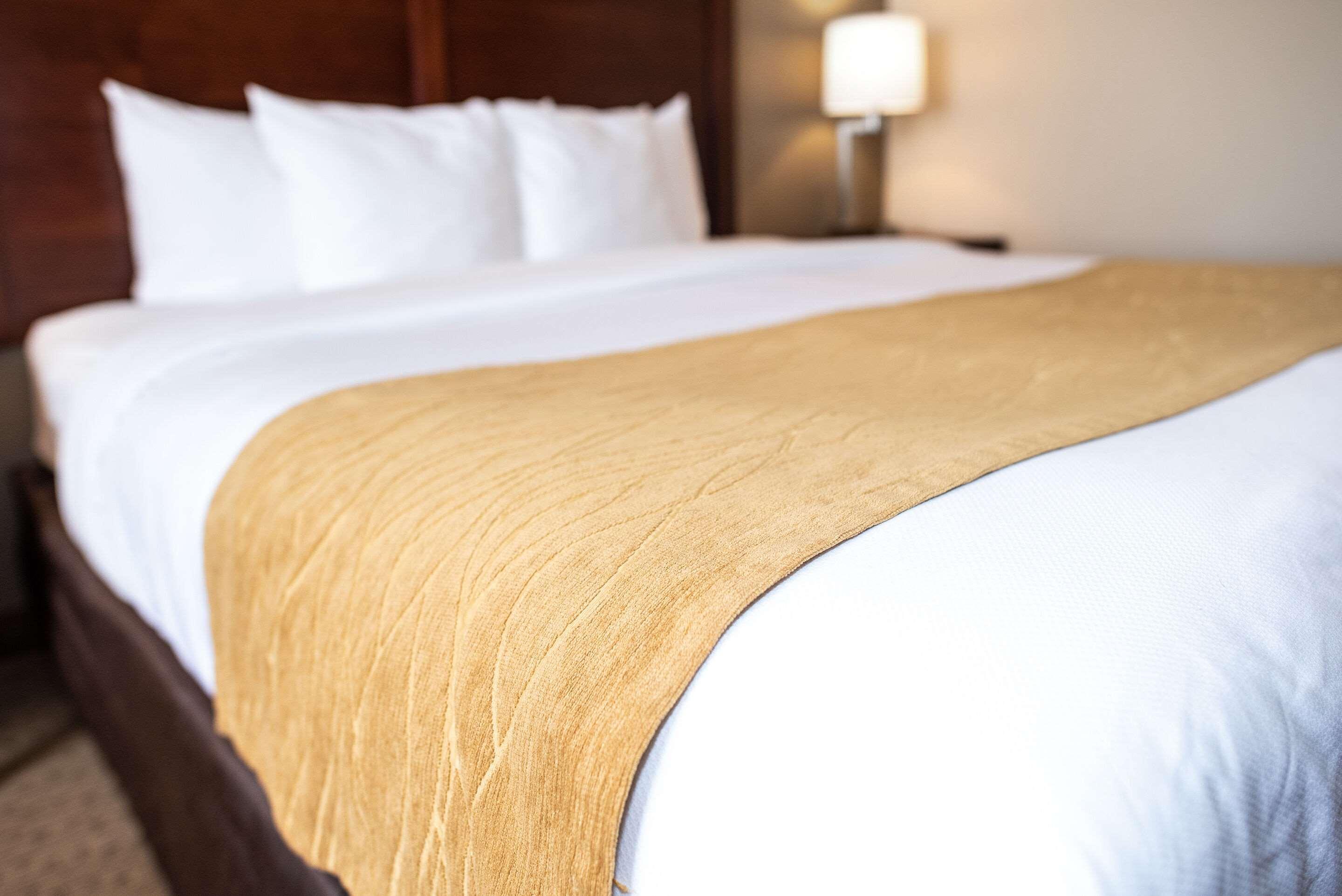 קאסטר Comfort Inn & Suites מראה חיצוני תמונה