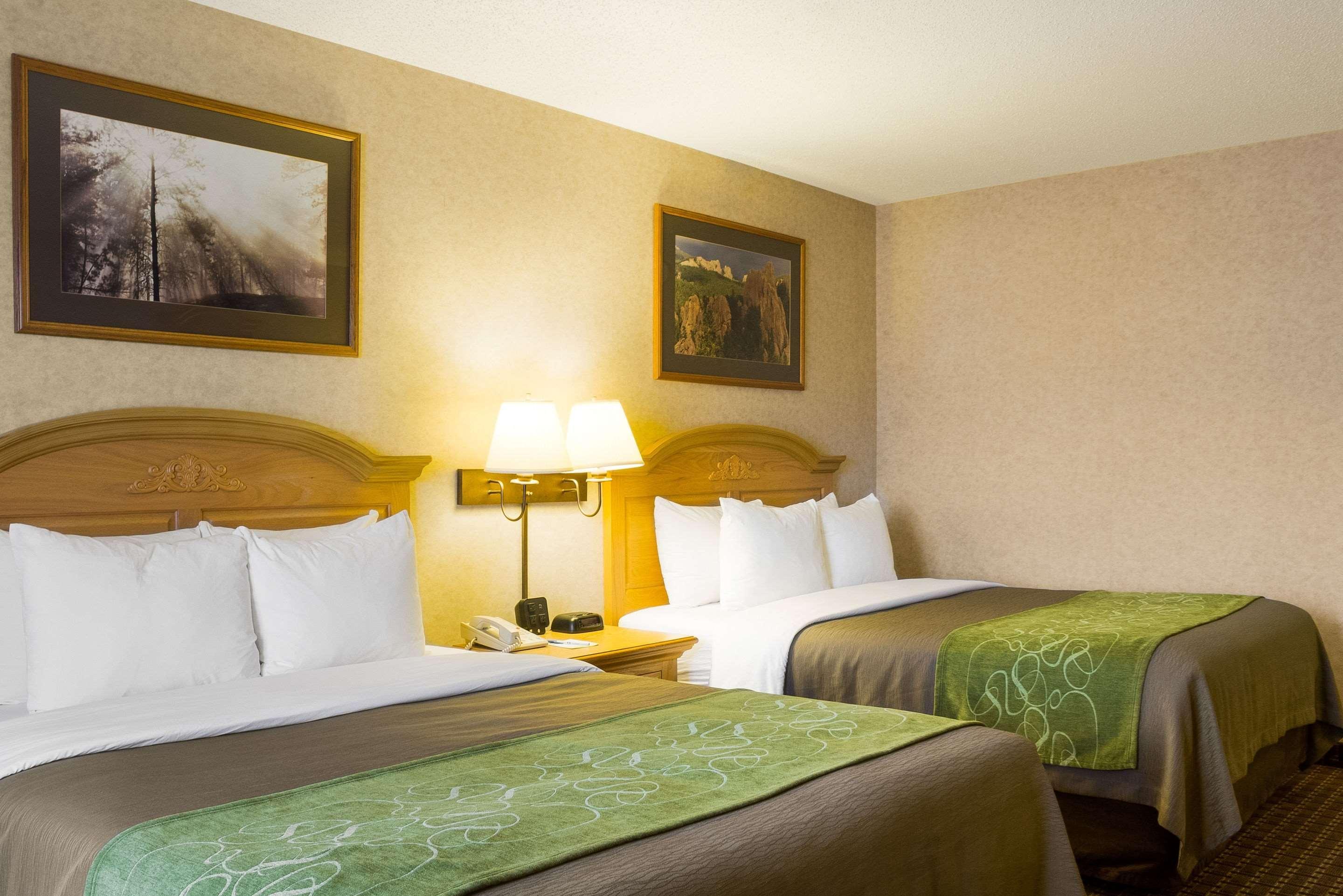 קאסטר Comfort Inn & Suites מראה חיצוני תמונה