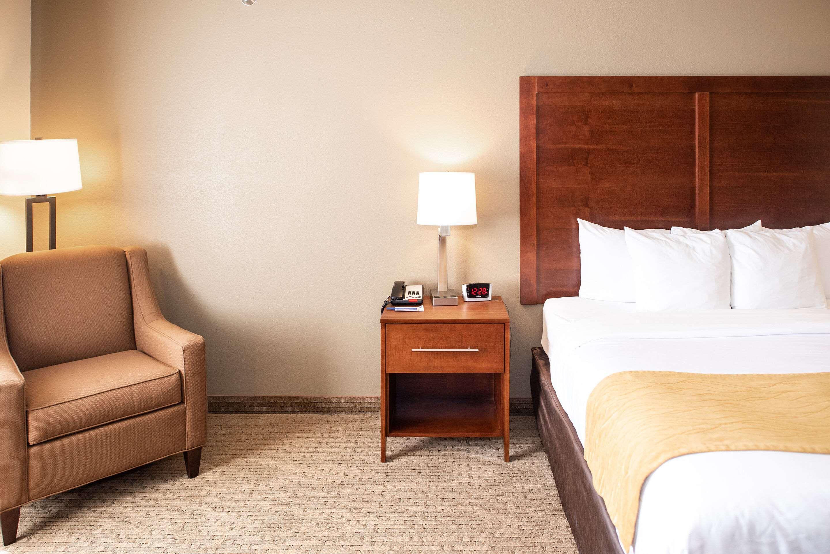 קאסטר Comfort Inn & Suites מראה חיצוני תמונה