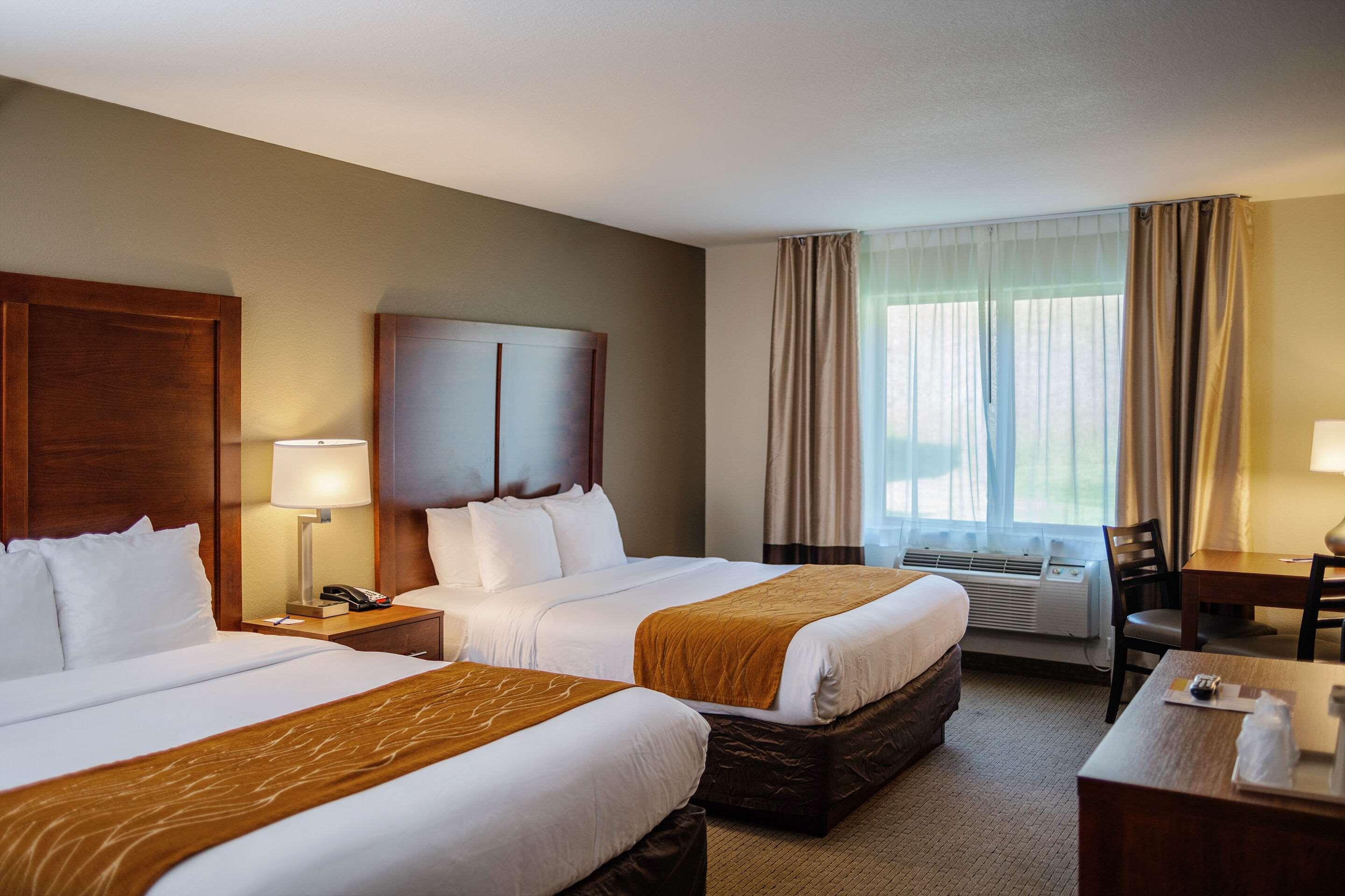קאסטר Comfort Inn & Suites מראה חיצוני תמונה